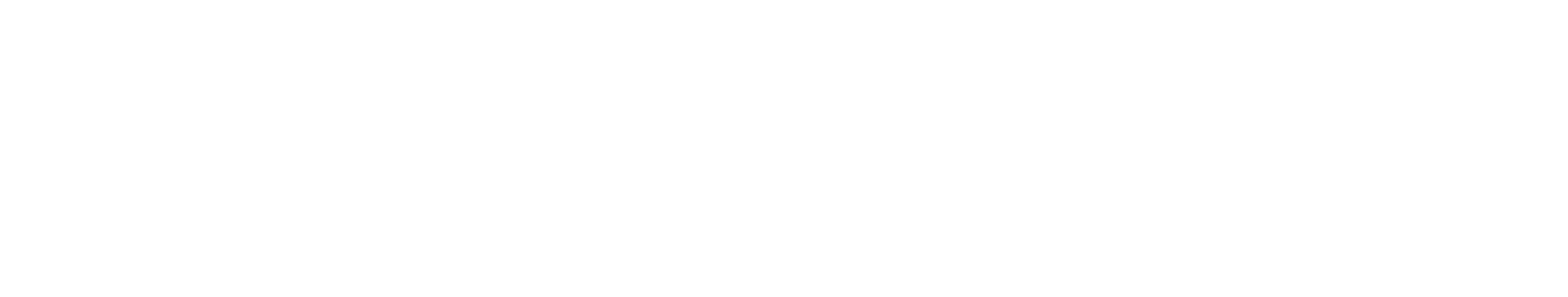 Hayaki Logo
